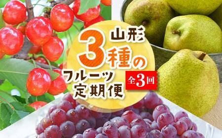 【2026年度 先行予約】3種のフルーツ定期便 全3回 さくらんぼ ぶどう 梨 果物 フルーツ FSY-2061