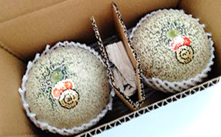 【2026年度 先行予約】夏色フルーツ定期便 全3回 さくらんぼ メロン 桃 果物 フルーツ FSY-2064