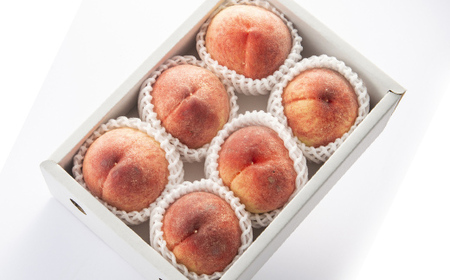 【2026年度 先行予約】夏色フルーツ定期便 全3回 さくらんぼ メロン 桃 果物 フルーツ FSY-2064