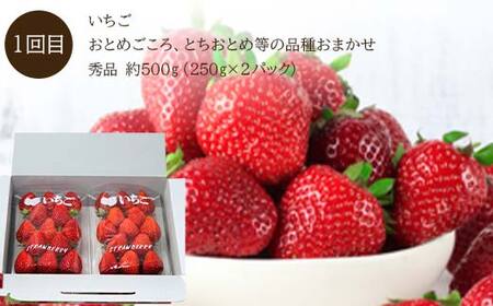 《2026年 先行予約》 果実の饗宴 山形プレミアム便 4回定期便 いちご さくらんぼ メロン スイカ シャインマスカット 桃 FSY-2304