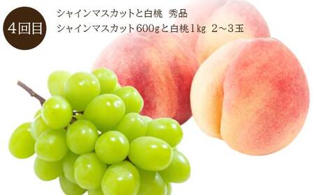 《2026年 先行予約》 果実の饗宴 山形プレミアム便 4回定期便 いちご さくらんぼ メロン スイカ シャインマスカット 桃 FSY-2304