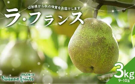 ≪2026年先行予約≫【仲野観光果樹園】贈答用 山形県産 西洋梨 ラ・フランス 3kg (9～10玉) 秀品 2026年11月中旬から順次発送 F2Y-6111