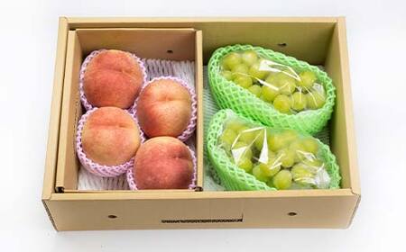 ≪2026年先行予約≫【仲野観光果樹園】ご家庭用 山形県産 シャインマスカット 白桃 2種詰合せ 2.5kg 種無し ぶどう 2026年9月中旬から順次発送 F2Y-6139