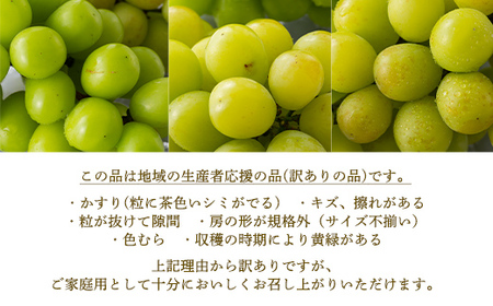 ≪2026年先行予約≫【仲野観光果樹園】ご家庭用 山形県産 シャインマスカット 白桃 2種詰合せ 2.5kg 種無し ぶどう 2026年9月中旬から順次発送 F2Y-6139