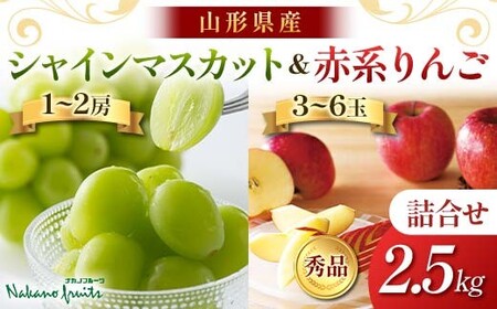 ≪2026年先行予約≫【仲野観光果樹園】贈答用 山形県産 シャインマスカット りんご 2種詰合せ 2.5kg 秀品 種無し ぶどう 2026年10月上旬から順次発送 F2Y-6140