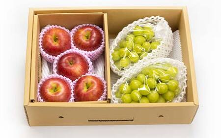 ≪2026年先行予約≫【仲野観光果樹園】贈答用 山形県産 シャインマスカット りんご 2種詰合せ 2.5kg 秀品 種無し ぶどう 2026年10月上旬から順次発送 F2Y-6140