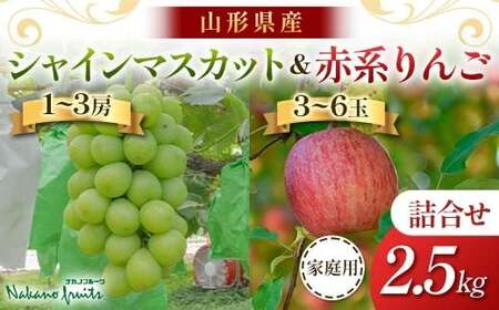 ≪2026年先行予約≫【仲野観光果樹園】ご家庭用 山形県産 シャインマスカット りんご 2種詰合せ 2.5kg 2026年10月上旬から順次発送 F2Y-6141