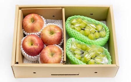 ≪2026年先行予約≫【仲野観光果樹園】ご家庭用 山形県産 シャインマスカット りんご 2種詰合せ 2.5kg 2026年10月上旬から順次発送 F2Y-6141