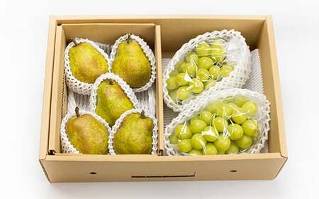 ≪2026年先行予約≫【仲野観光果樹園】贈答用 山形県産 シャインマスカット 西洋梨 2種詰合せ 2.5kg 秀品 種無し ぶどう 2026年9月中旬から順次発送 F2Y-6142