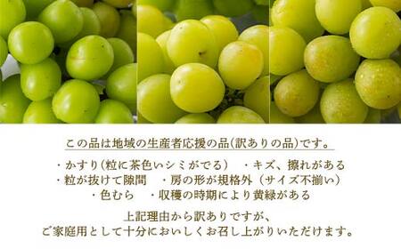≪2026年先行予約≫【仲野観光果樹園】家庭用 山形県産 シャインマスカット 西洋梨 2種詰合せ 2.5kg 2026年9月中旬から順次発送 F2Y-6143