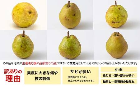 ≪2026年先行予約≫【仲野観光果樹園】家庭用 山形県産 シャインマスカット 西洋梨 2種詰合せ 2.5kg 2026年9月中旬から順次発送 F2Y-6143