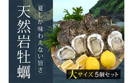 《先行予約 2026年度発送》庄内浜 天然岩牡蠣 大サイズ 5個 牡蠣剥き用ナイフ付き FSY-2100