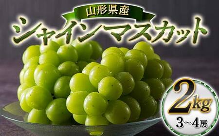 ≪2026年先行予約≫【本田農園】山形県産 大粒ぶどう シャインマスカット 約2kg(3～4 房) 秀品 2026年9月中旬から順次発送 F2Y-6148