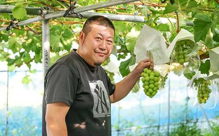 ≪2026年先行予約≫【本田農園】山形県産 大粒ぶどう シャインマスカット 約2kg(3～4 房) 秀品 2026年9月中旬から順次発送 F2Y-6148
