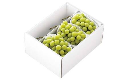 【先行予約 2026年度発送】山形県産 シャインマスカット 3房 約2kg マスカット ぶどう ブドウ 葡萄 デザート フルーツ 果物 くだもの 果実 食品 山形県 FSY-2185