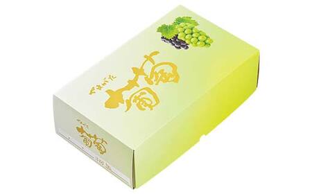 【先行予約 2026年度発送】山形県産 シャインマスカット 3房 約2kg マスカット ぶどう ブドウ 葡萄 デザート フルーツ 果物 くだもの 果実 食品 山形県 FSY-2185