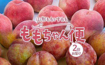 山形 ももとすももの ももちゃん便 FSY-2243 | 山形県（県庁