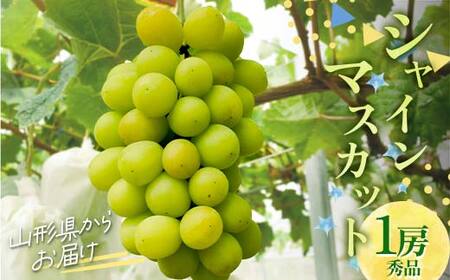 シャインマスカット 1房 900g 山形県産 秀品 ギフト箱入り 【令和8年9月中旬発送】 FSY-2234