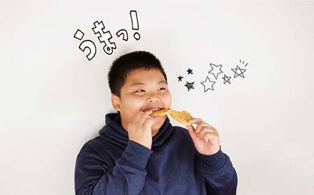 訳ありこわれ煎餅10袋セット2.8kg F2Y-4296