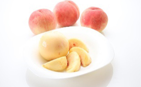 ≪数量限定 期間限定≫ 《先行予約 2026年度発送》 とれたて旬果巡り4種セットA 白桃と和梨 ピオーネ サンふじりんご 定期便【全3回】 FSY-2541