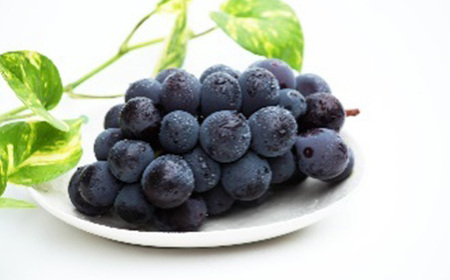 ≪数量限定 期間限定≫ 《先行予約 2026年度発送》 とれたて旬果巡り4種セットA 白桃と和梨 ピオーネ サンふじりんご 定期便【全3回】 FSY-2541