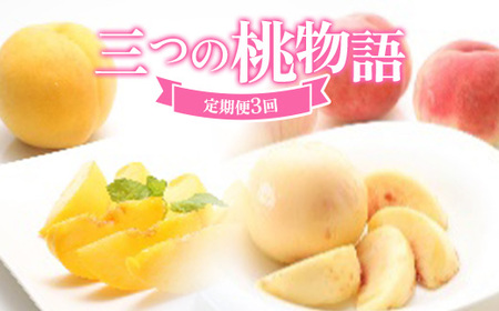 ≪数量限定 期間限定≫三つの桃物語 柔らかめ白桃 黄桃 硬め白桃 定期便【全3回】 FSY-2429