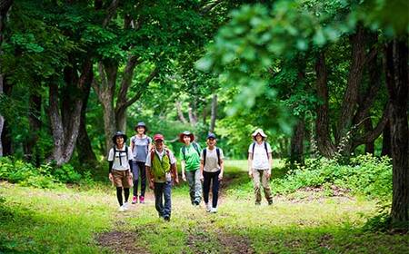空色ウォーキング・暮色ウォーキング（夏）ペアチケット F2Y-4362