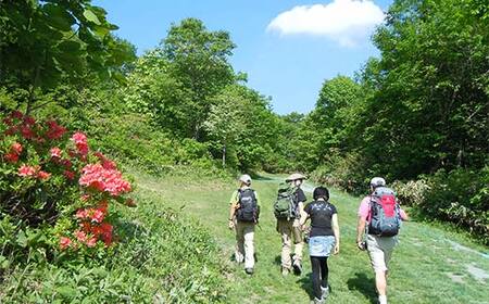 空色ウォーキング・暮色ウォーキング（夏）ペアチケット F2Y-4362