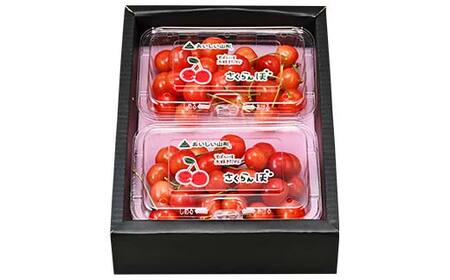 先行予約(令和8年発送) 山形県産 さくらんぼ 佐藤錦 約360g FSY-2296