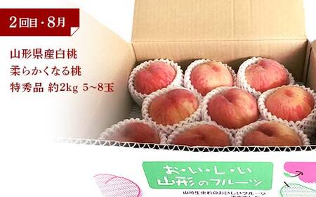 令和8年6月発送開始 山形県 厳選のフルーツ！ 山形県旬のフルーツ定期便A 全3回 FSY-2280