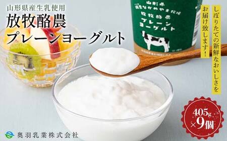 【奥羽乳業】山形県産生乳使用！ 放牧酪農プレーンヨーグルト 405g×9個 セット F2Y-6545