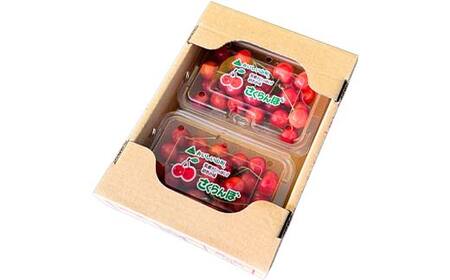 ≪先行予約令和8年度発送≫ 2種盛り★山形味くらべフルーツ定期便A 全5回 FSY-2650