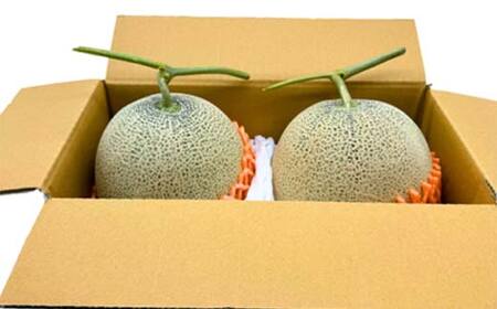 ≪先行予約令和8年度発送≫ 2種盛り★山形味くらべフルーツ定期便A 全5回 FSY-2650