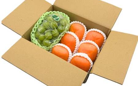 ≪先行予約令和8年度発送≫ 2種盛り★山形味くらべフルーツ定期便A 全5回 FSY-2650