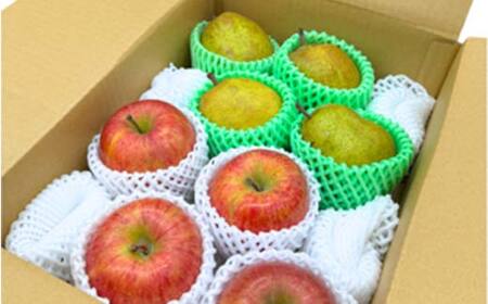 ≪先行予約令和8年度発送≫ 2種盛り★山形味くらべフルーツ定期便A 全5回 FSY-2650