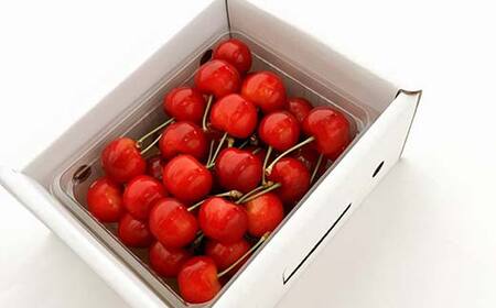 《先行予約 2026年発送》山形の農家さんが選ぶ！美味しいものスペシャル便 FSY-2723