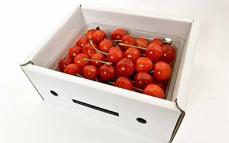 《先行予約 2026年発送》山形の農家さんが選ぶ！美味しいものスペシャル便 FSY-2723