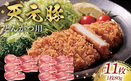 天元豚とんかつ用80g×11 F2Y-6603