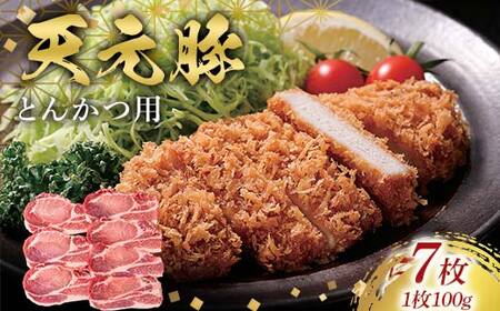 天元豚とんかつ用100g×7 F2Y-6601