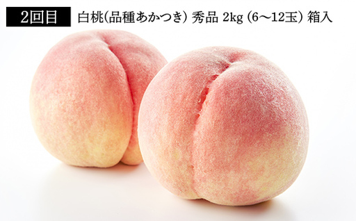 【先行予約】 やまがた旬の定期便【3回】（佐藤錦・白桃・アールスメロン） FSY-2623