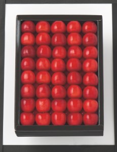 JAさくらんぼひがしね〉さくらんぼ 紅秀峰500g F2Y-0042 | 山形県