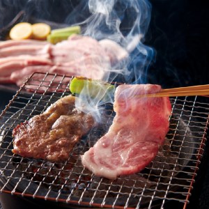 山形の極み 平田牧場 金華豚 焼肉用 F2Y-0294