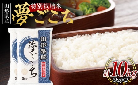 特別栽培米 山形県産 夢ごこち F2y 0371 山形県 県庁 ふるさと納税サイト ふるなび