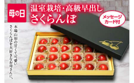 先行予約 2026年度発送》母の日 山形さくらんぼ 佐藤錦 特秀品 Lサイズ