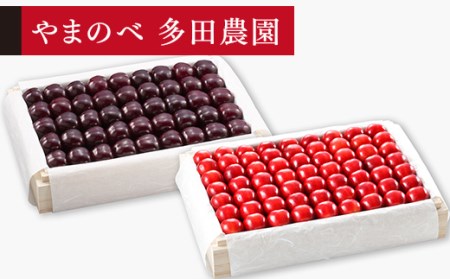 先行予約 さくらんぼ 紅姫 サミット 特選桐箱詰 約1 100g 2 やまのべ多田農園 F2y 1404 山形県 県庁 ふるさと納税サイト ふるなび