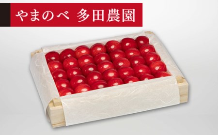 ≪2026年 先行予約≫さくらんぼ 特選紅秀峰 桐箱詰 300g「やまのべ多田農園」 F2Y-1377