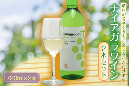 ナイアガラワイン2本セット F2Y-1300