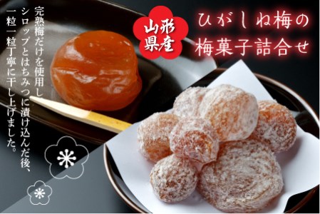 山形県産ひがしね梅の梅菓子詰合せ 梅 梅干し 梅干 菓子 スイーツ お菓子 お菓子セット 詰合わせ 山形県 F2Y-1570