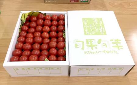 《2026年産先行受付》山形県産高糖度ミディトマト【シンディスィート】 2kg トマト 野菜 食品 山形県 FSY-2513