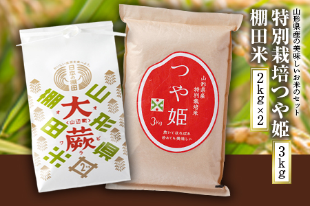 《ふるさとの極み》特別栽培つや姫3kg 棚田米2kg×2 F2Y-1351